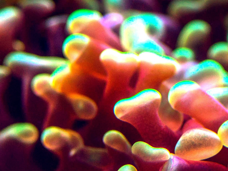 Danaher Life Sciences