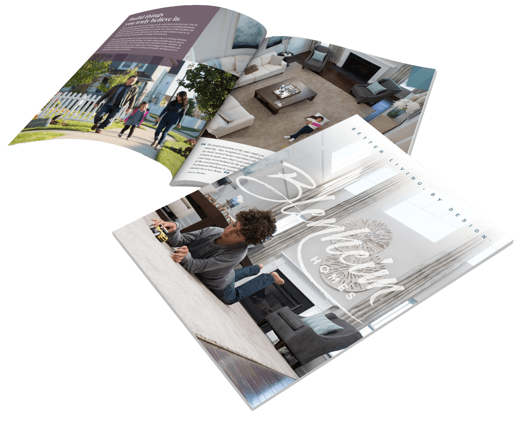 Blenheim Homes brochure